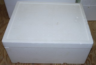 ���A�X�`���[����