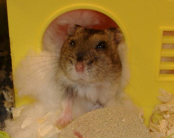 �L�[�����